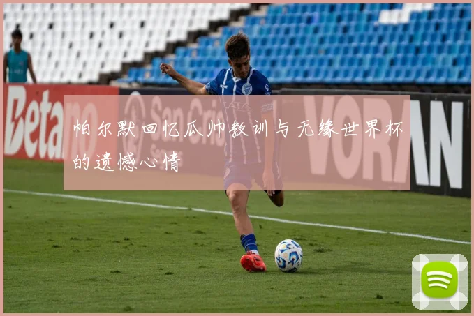 帕尔默回忆瓜帅教训与无缘世界杯的遗憾心情