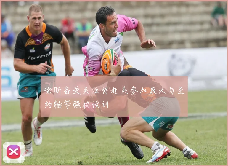 徐昕备受关注将赴美参加康大与圣约翰等强校试训