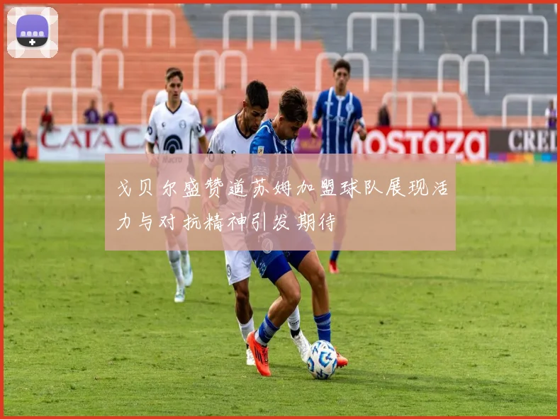 戈贝尔盛赞道苏姆加盟球队展现活力与对抗精神引发期待
